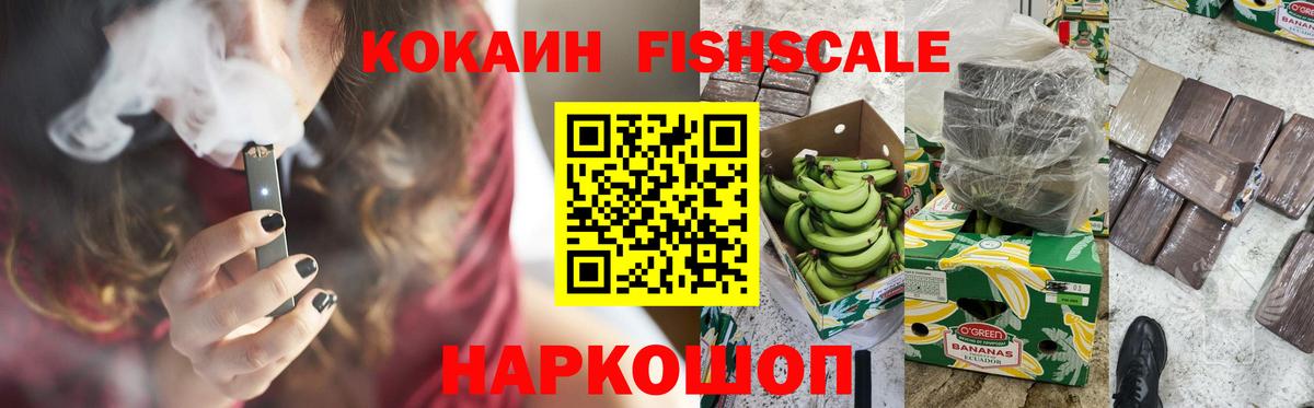 Cocaine 97%  Бийск  COCAIN Fish Scale 