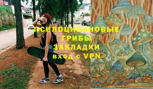 крисы Лагань