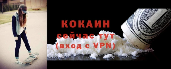 крисы Лагань