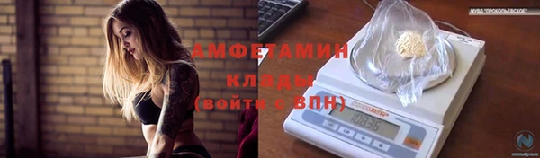 крисы Лагань