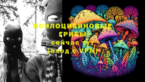 крисы Лагань