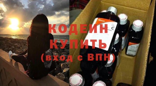 крисы Лагань