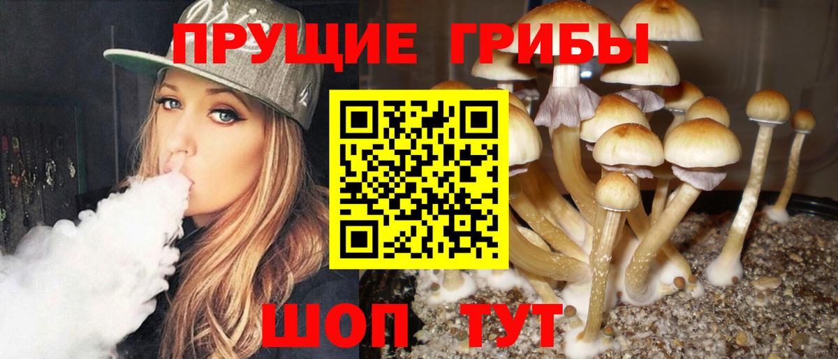 Псилоцибиновые грибы MAGIC MUSHROOMS Бийск