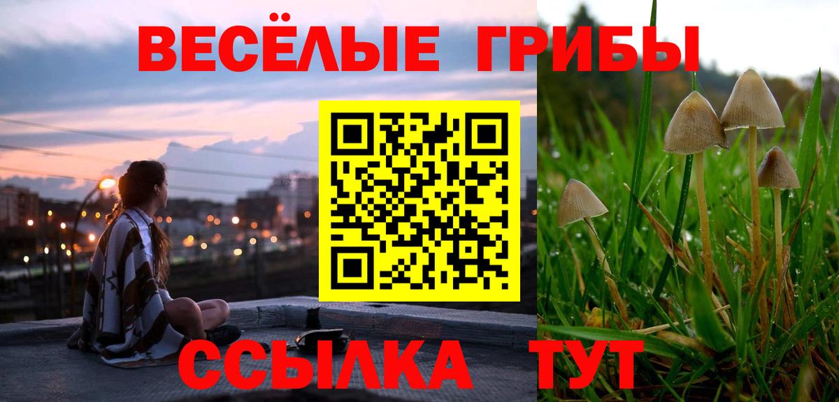 Галлюциногенные грибы Psilocybine cubensis  закладки  Бийск 