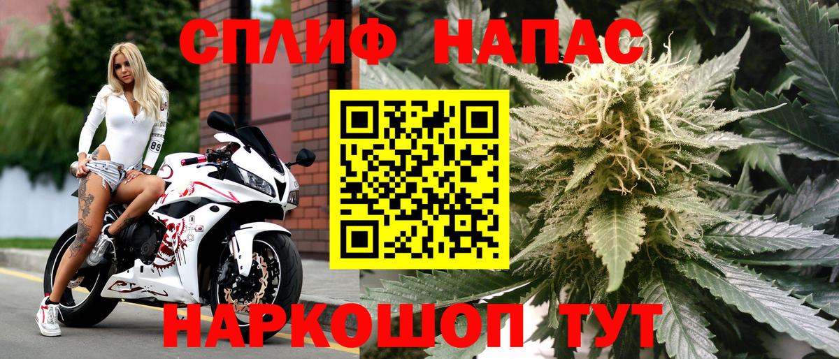 Каннабис конопля  МАРИХУАНА сатива  Бийск  Марихуана White Widow 